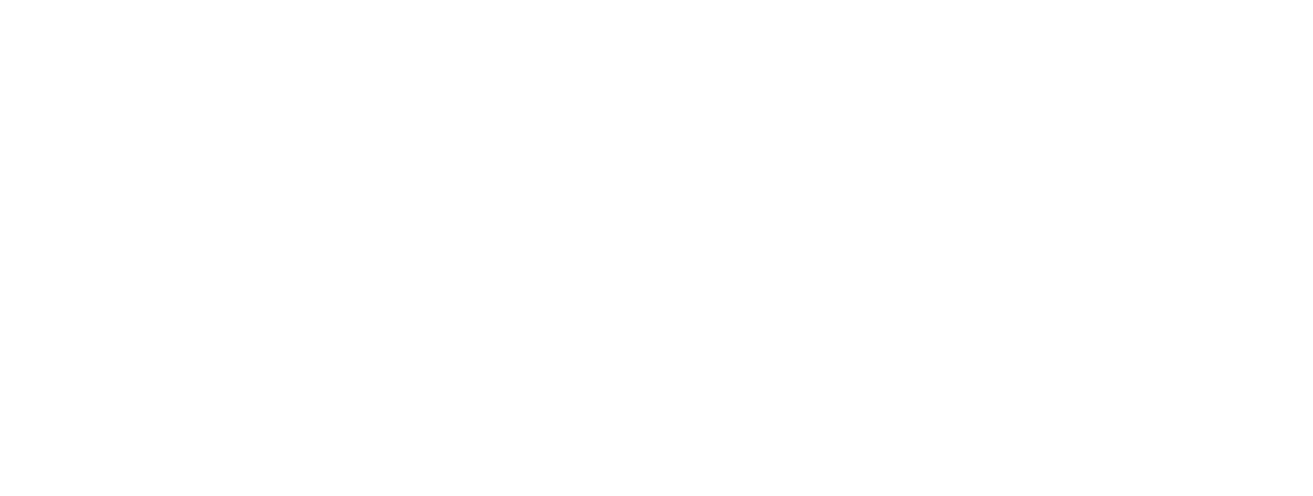 Corporate Vision
